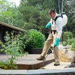 General Pest control