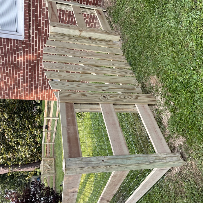 4ft high 3 Rail with wire