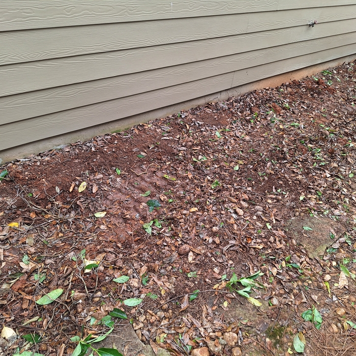 After clearing out old landscape