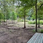 Hickory Hill Land Restora