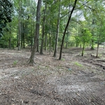Hickory Hill Land Restora
