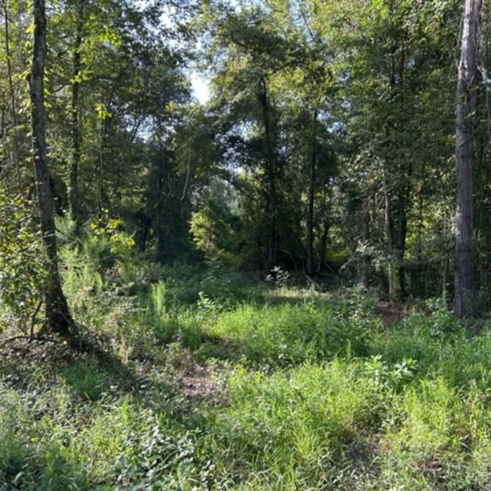 Hickory Hill Land Restora