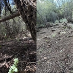 Before and After