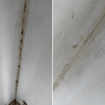 Small Spider webs Before and After