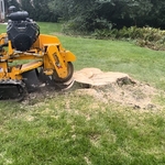 Stump Removal