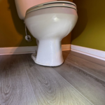 toilet before
