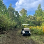 Cleaning up a ponds edge
