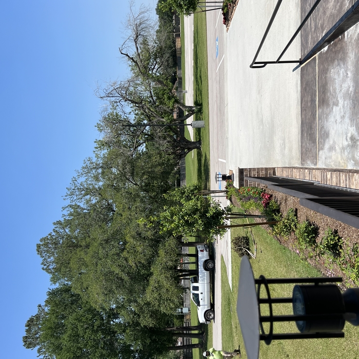 Landscaping