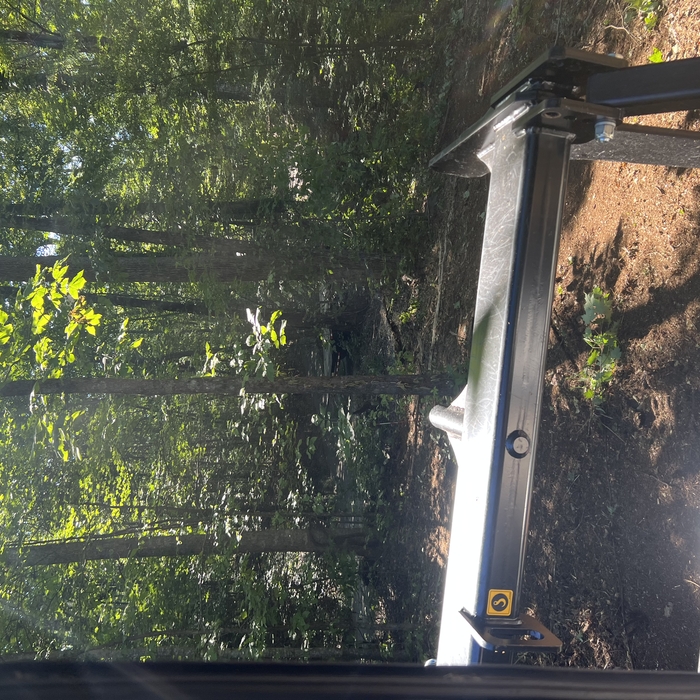 Mulching and Clearing