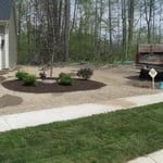 started w/bare ground