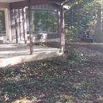 Backyard before excavation