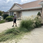 Landscape Design