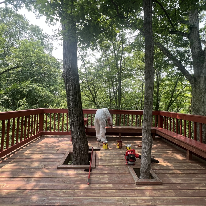 Deck Restoration