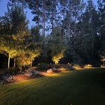 Back Yard Scenery