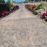 Driveway Plant Installation and Organized Rocks