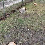 Fence Line