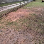 Fence Line