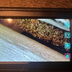 Endoscope View
