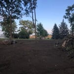 Our Projects