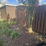 Clean Flower Bed + Trimmed Tree