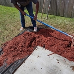 Mulching flowerbed