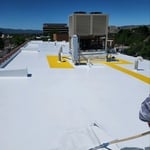 Roof Coating