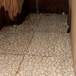 Asbestos Tile