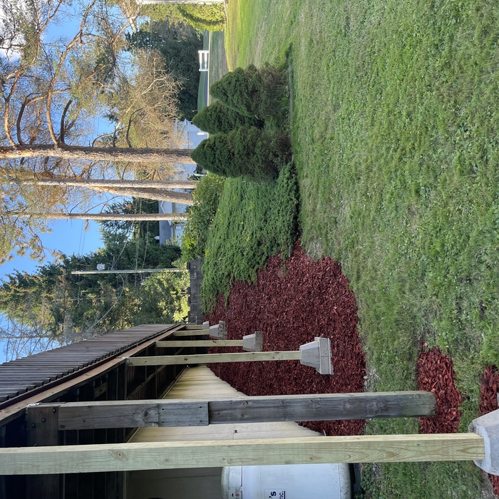 From below, after adding red multch