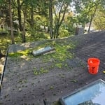 Moss Removal