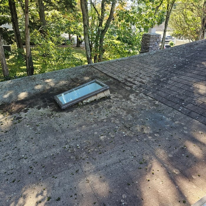 Moss Removal