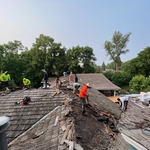 Removing Shingles