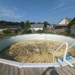 Pedro's Pool Before