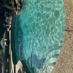 Weekly Pool Maintenance