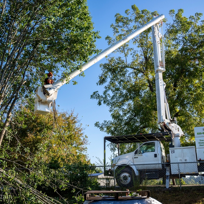 Bucket Work