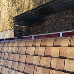 Clean gutter 1