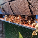 Longmont Gutters Cleaned