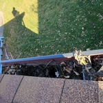 Longmont Gutters Cleaned