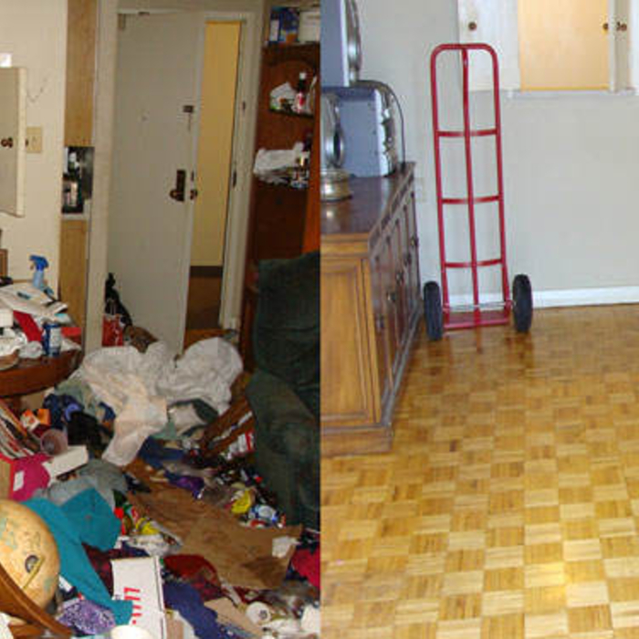 Hoarder clean out