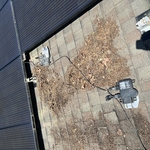 Solar removal