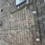 Shingle removal