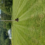 Lawn service