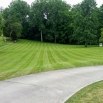 Lawn service