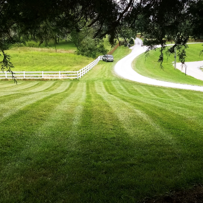 Lawn service