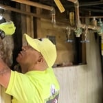 Termite Inspection