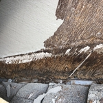 Siding Replacement