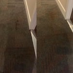 Carpet cleaning