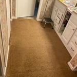 Carpet cleaning