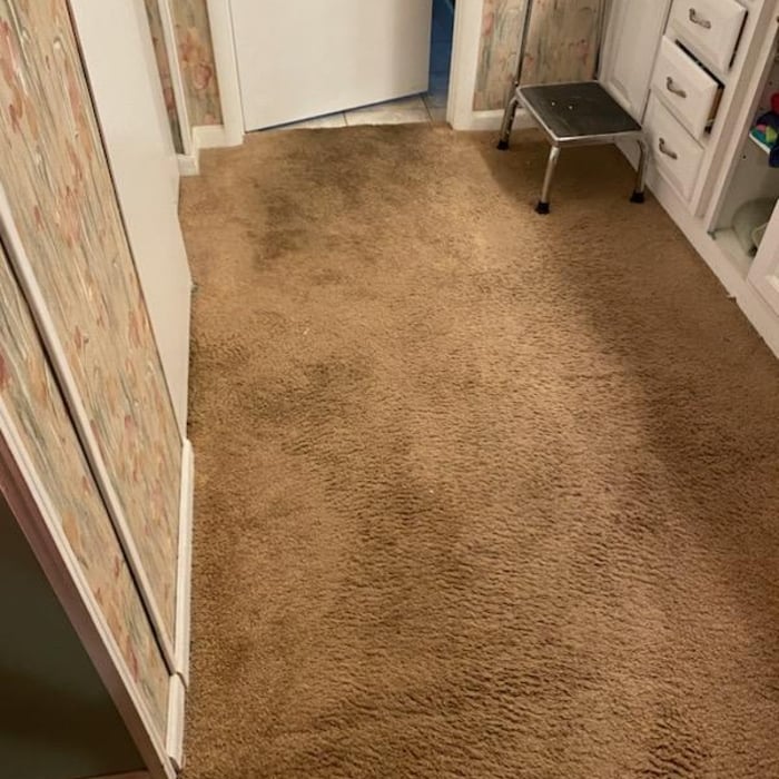 Carpet cleaning