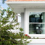 New Windows