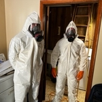Mold Removal in Sewickley